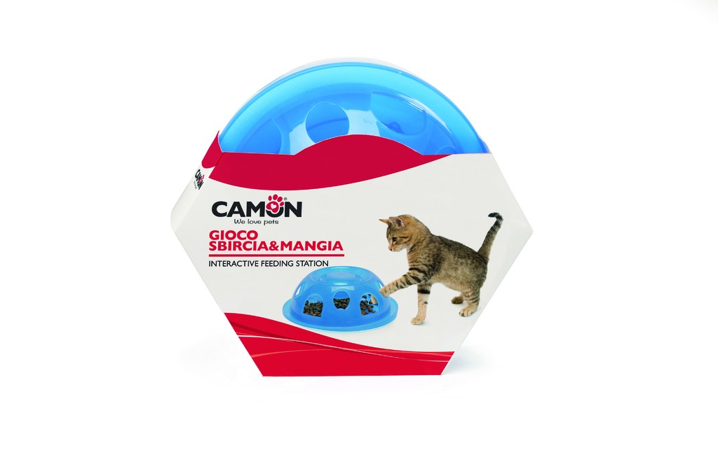 Camon Gatto gioco sbircia e mangia